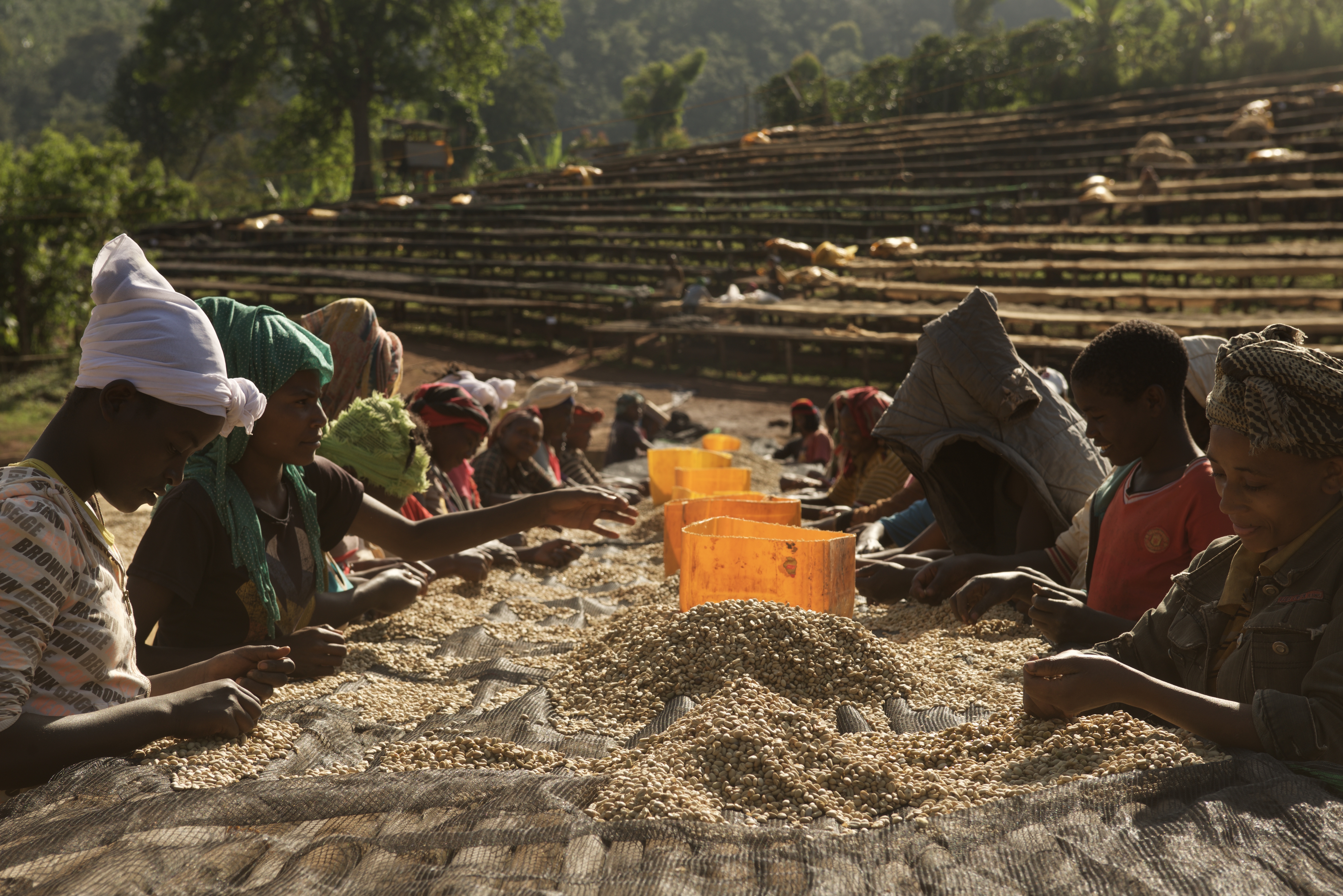 Trabocca: In pursuit of poverty free coffee -