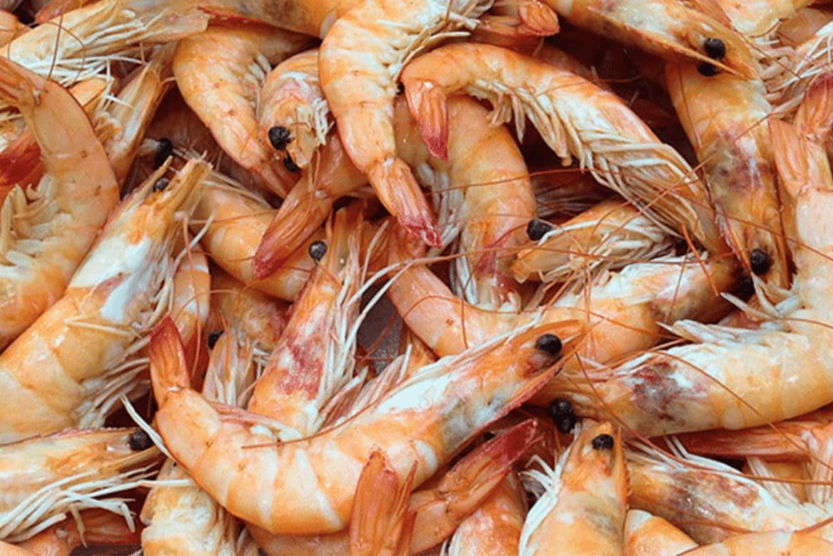 commodities for fair food - living wage and income for shrimp peelers