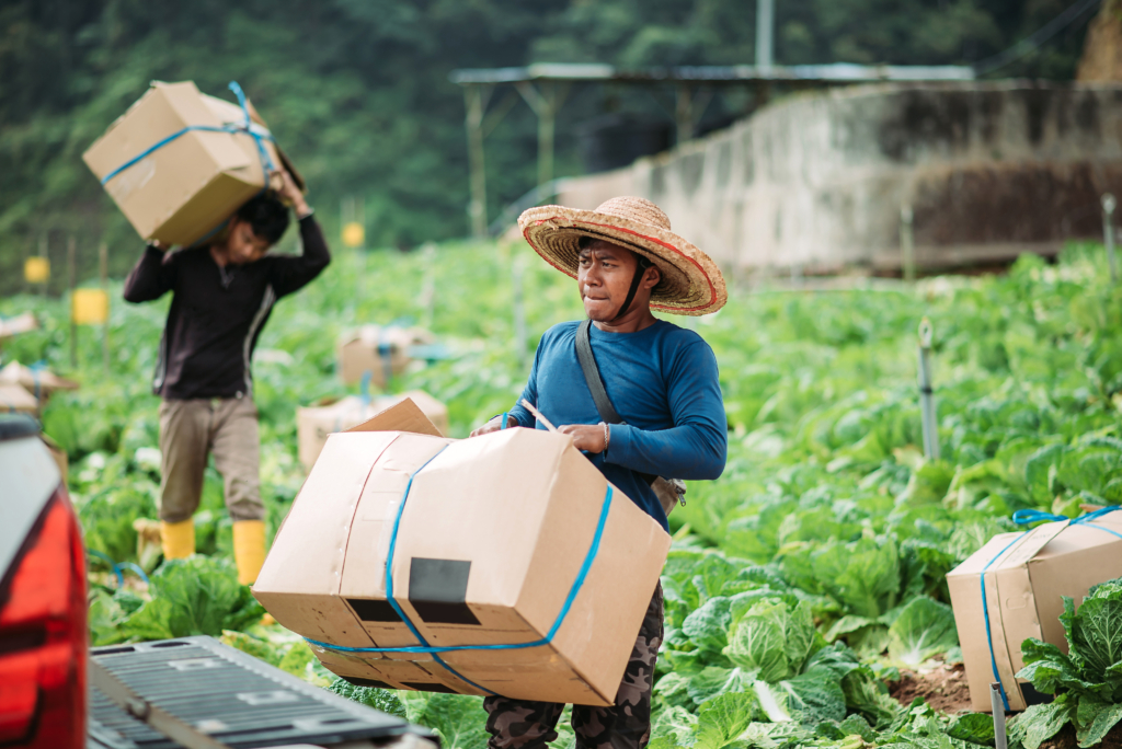 Paying farmers a living income