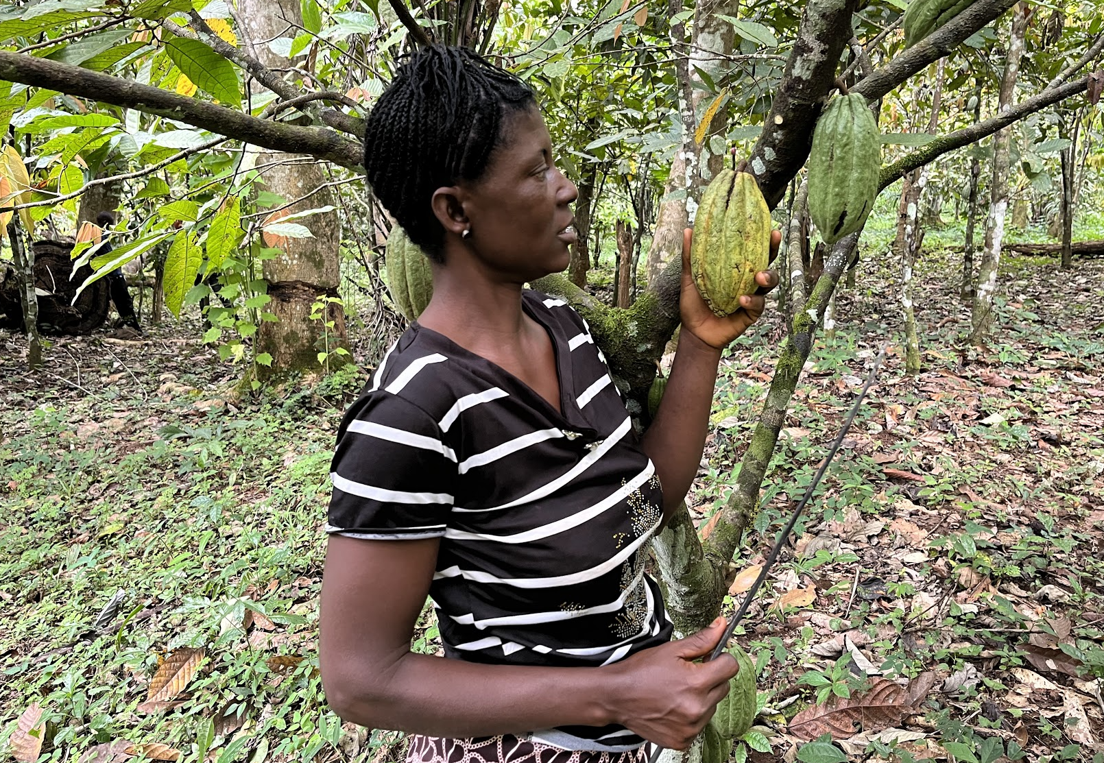 Sierra Leone - Comms