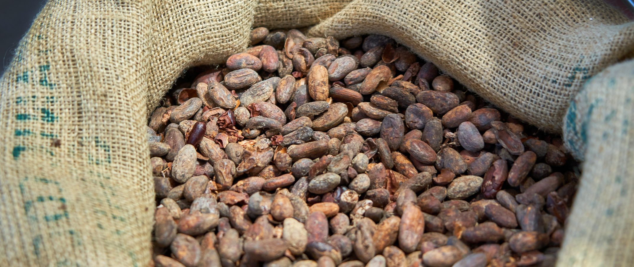 A sack of cocoa beans.