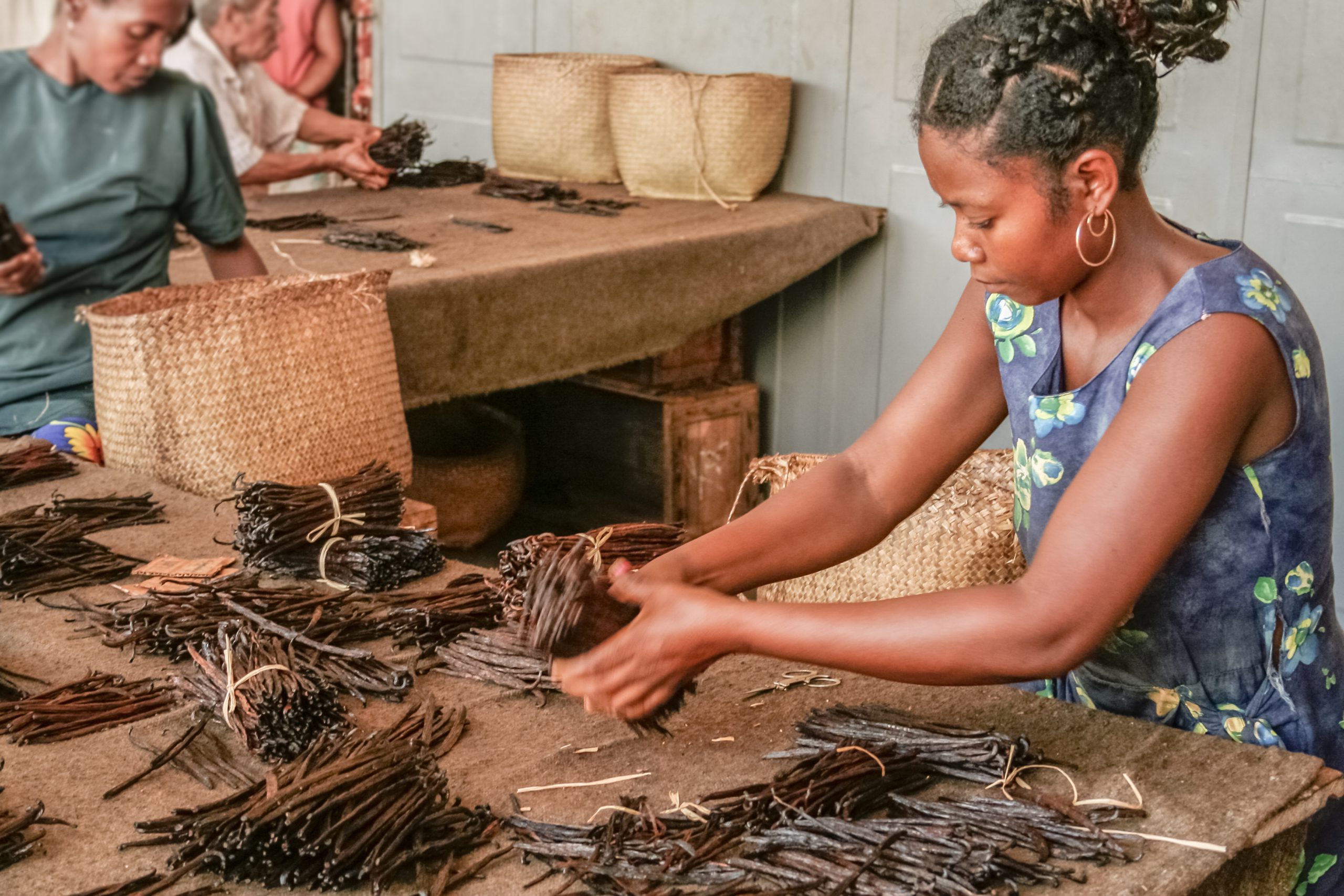 Manufacture of vanilla