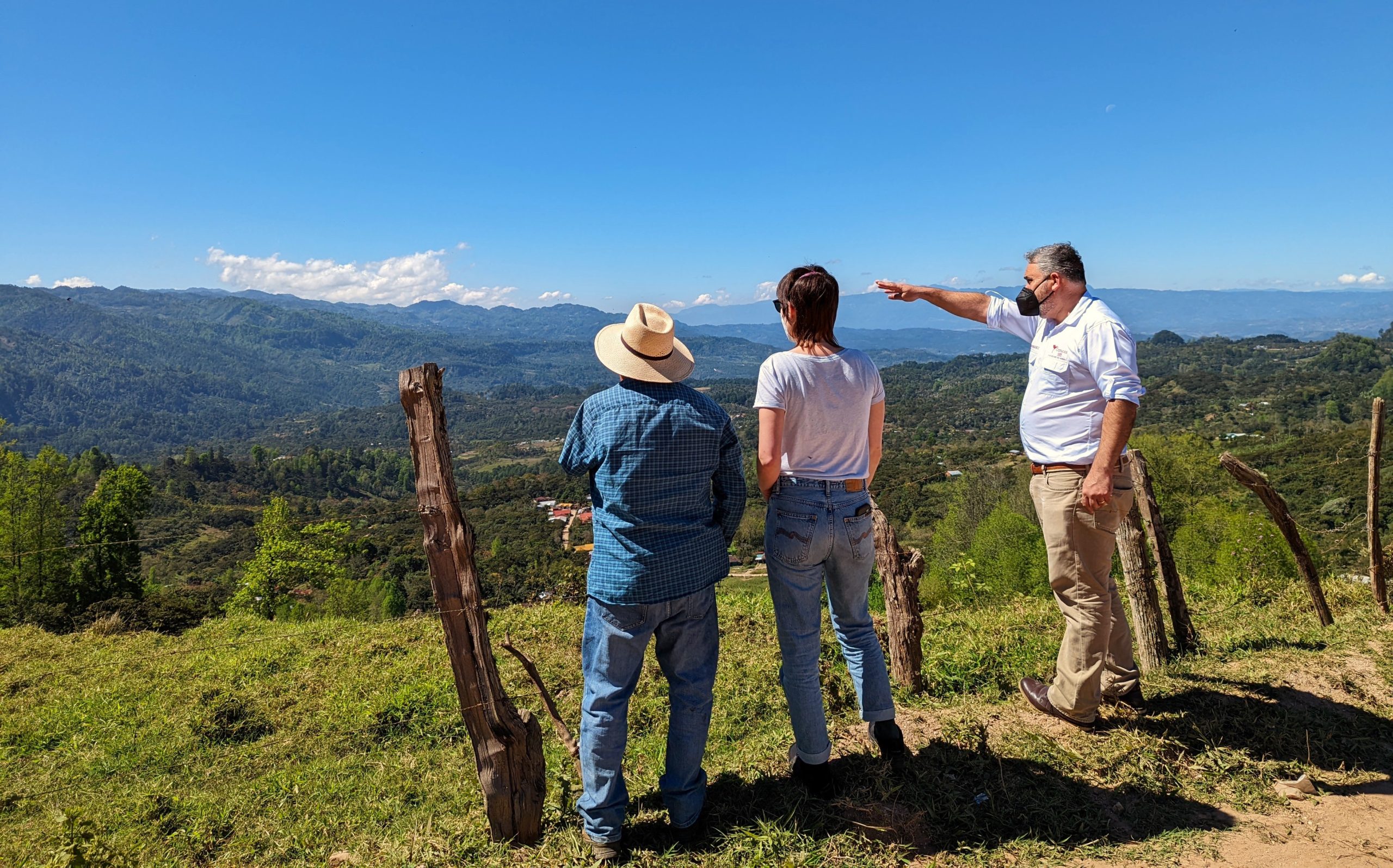 fairfood-honduras-coffee176