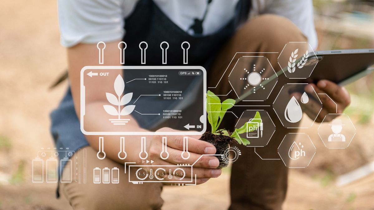 Inclusive Digital Design Toolkit From access to meaningful technology